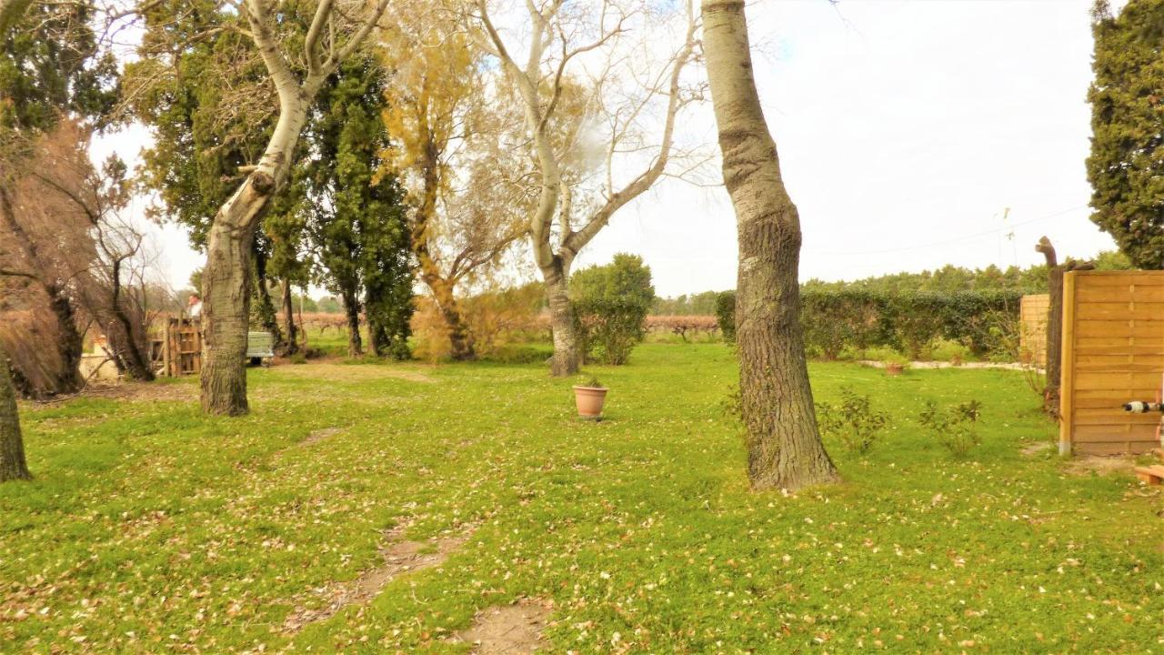Villa L'Évasion familiale Arles Camargue Esterno foto